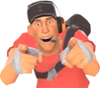 ScoutPoint emote