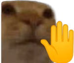 Halt emote