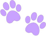 purple_paw_prints emote