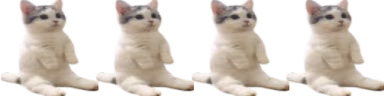 catsittingverycomfortablewithitsfriends emote