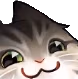 CE_Smug3 emote