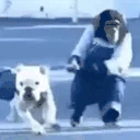 gottaGo emote