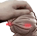 PetDemo emote
