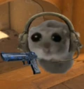 csoh emote