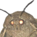 MothCheck emote