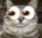 void emote