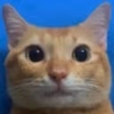 MyReactionToThis emote
