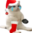 catsittingverycomfortablebuttheygotcoalforchristmaswhyweretheyon emote