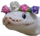 Flowersnek emote