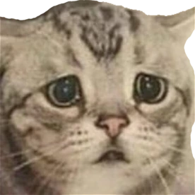 CatSad emote