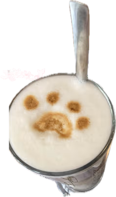 catclatte emote