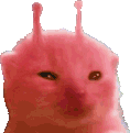 rainblorp animated emote