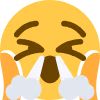 idklol emote