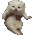 ewpJam emote