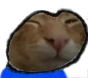 buhgi emote