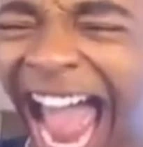 DolphinLaugh emote
