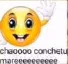 chaoctm emote