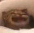 AAAAAAAAAAA emote