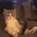 bricked emote