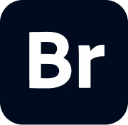 Bridge emote