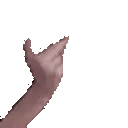 notL animated emote