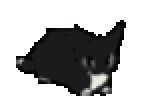 maxwell animated emote