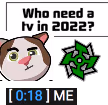 Who_Need_a_TV_in_2022 emote