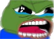 NOOOYOUCANT emote