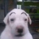 waos emote
