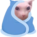 bingusblanket emote