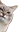 kot emote