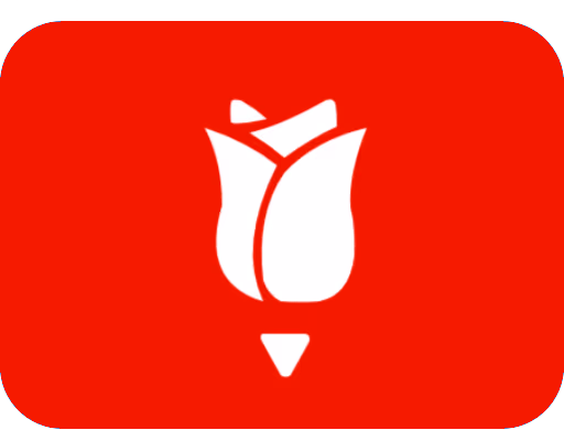socdem_flag emote