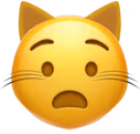 cat_anguished emote