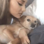 arianagrande_stuckwithu emote