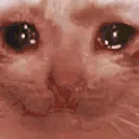 SadCatJAM emote