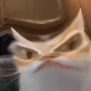 Erk emote