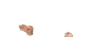 ejhands emote