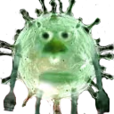 corona_stare emote