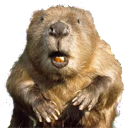 bober emote