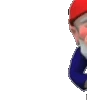 GnomeHi emote
