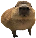 gort emote