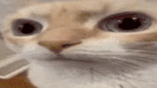 uuhmmm emote