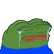 Pepe_Vanish emote
