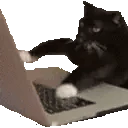 Chatting emote
