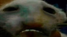 sadd emote
