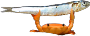 Crab emote