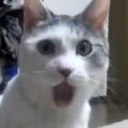 CE_Shock emote