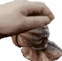 PetTheDemo emote