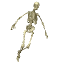 TRIPP emote