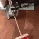 MODS emote